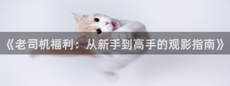 达达兔秋霞影院