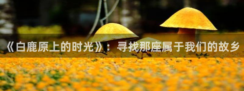 达达兔下载苹果